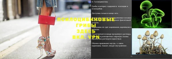 каннабис Аркадак