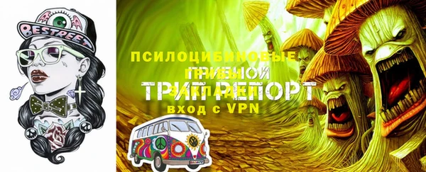 стаф Саяногорск
