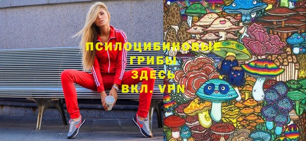 СК Алзамай