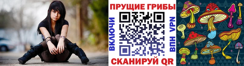 дарнет шоп  MEGA рабочий сайт  Галлюциногенные грибы прущие грибы  Артёмовский 